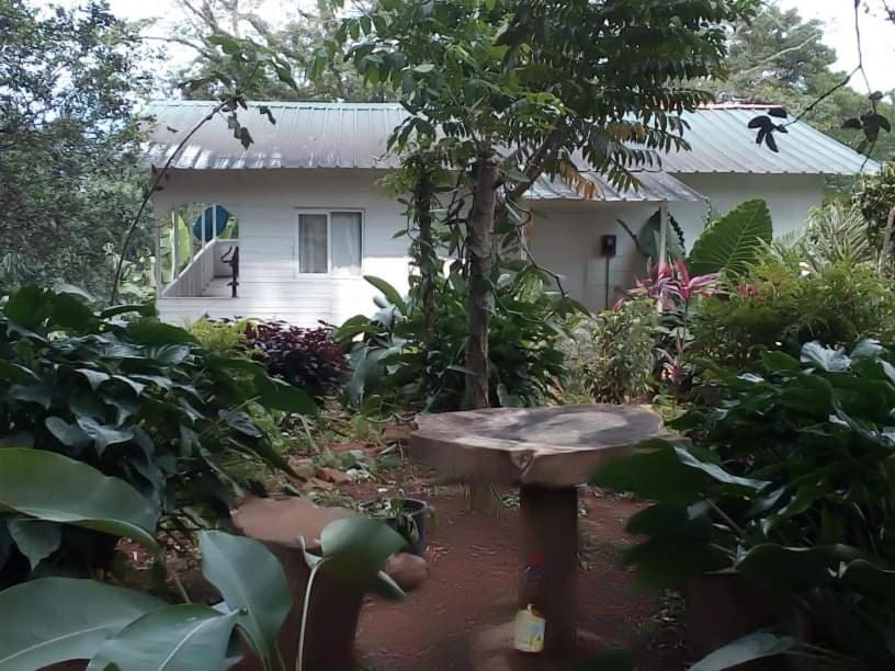 Casa De Andrea Villa Santo António Екстериор снимка