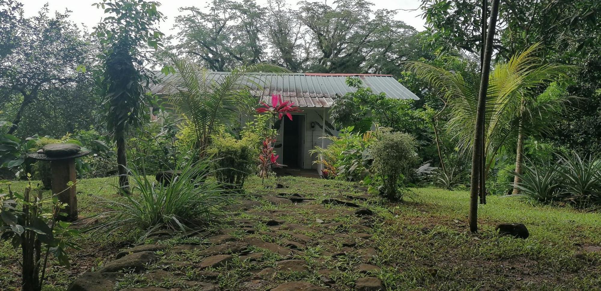 Casa De Andrea Villa Santo António Екстериор снимка