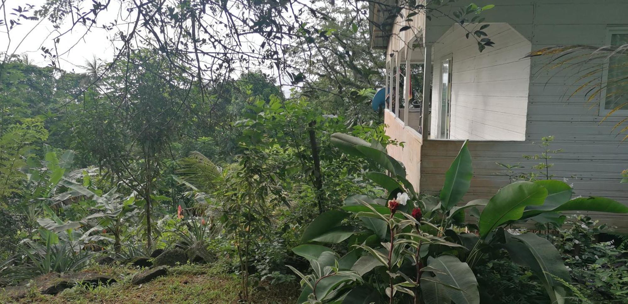 Casa De Andrea Villa Santo António Екстериор снимка